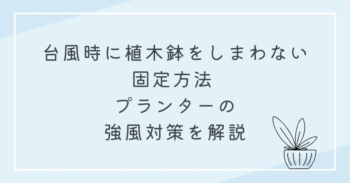 台風植木鉢　しまわない